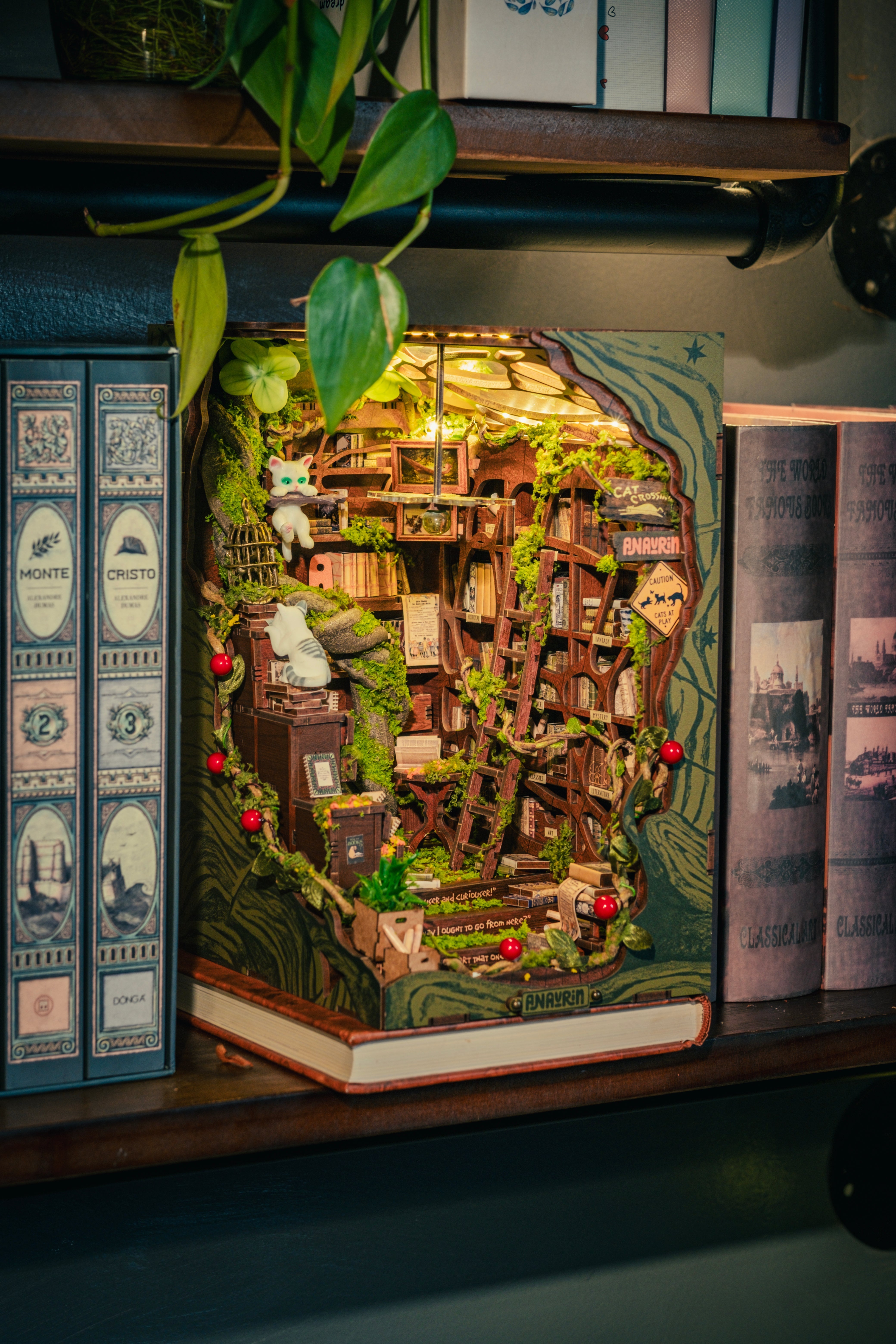 When a Bookshelf Starts Telling Your Story