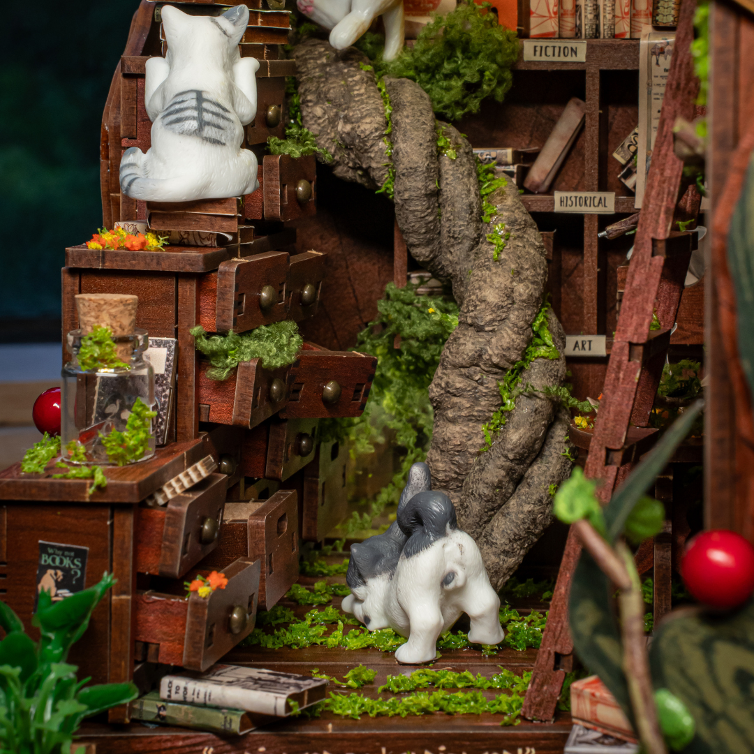 Kit de Rinconcito para Libros Cruce de Gatos