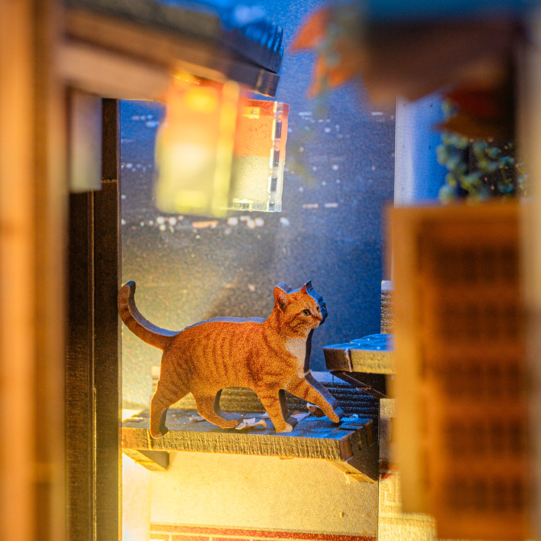 For the Love of Cats, Books, and Cozy Corners