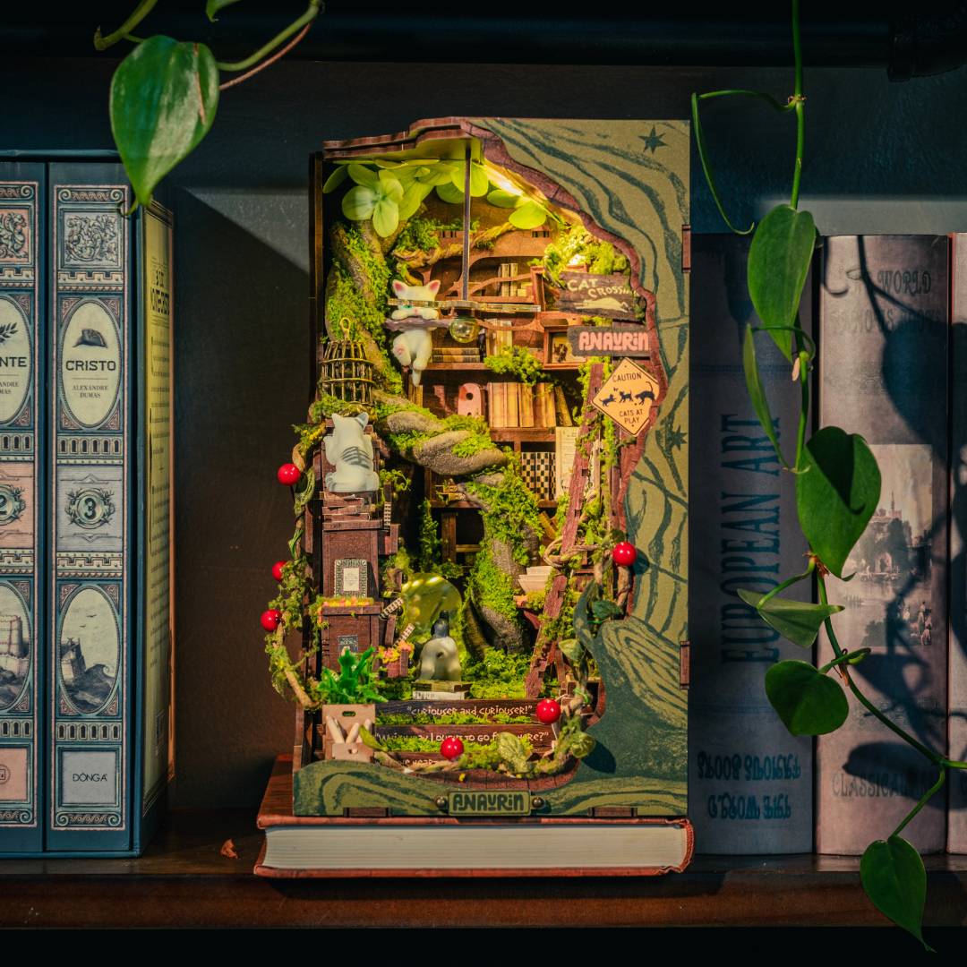 Kit de Rinconcito para Libros Cruce de Gatos