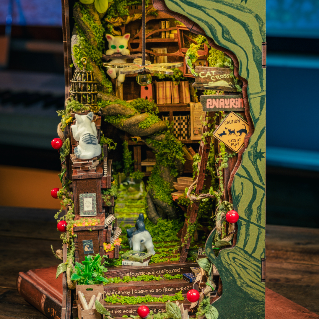 Kit de Rinconcito para Libros Cruce de Gatos