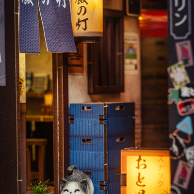 Golden Gai Book Nook Kit